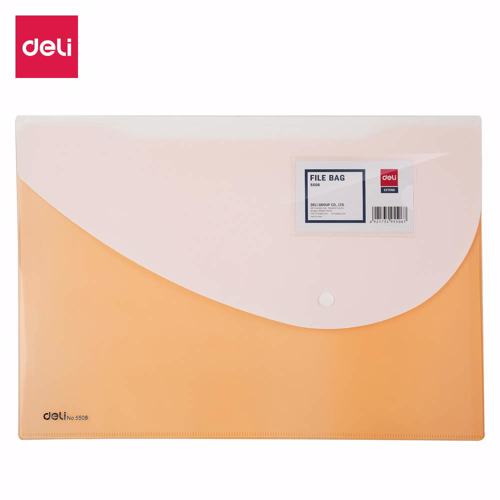 Full size cover page of the book 'DELI W5506 2P FILE BAG SNAP FC 5C 10 T'