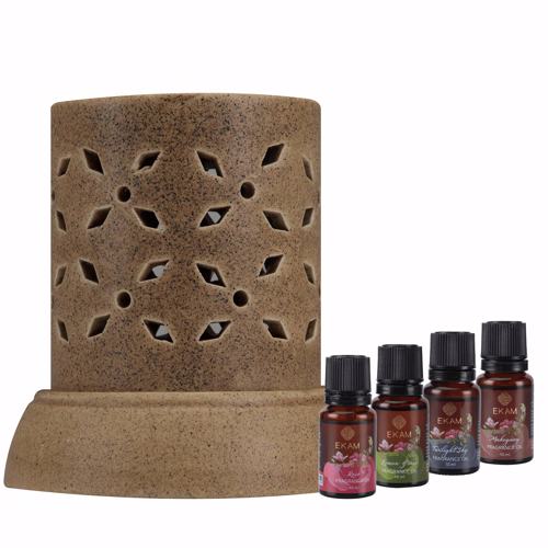 Full size cover page of the book 'EKAM COB-249 BROWN ELECTRIC WARMER DIFFUSER'
