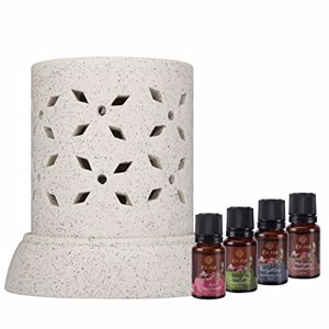 Cover page of the book 'EKAM COB-249 WHITE ELECTRIC WARMER DIFFUSER'