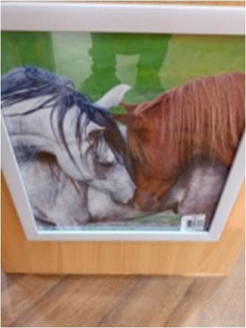 Full size cover page of the book 'ARCHIES PHOTOFRAME COUPLE HORSE'