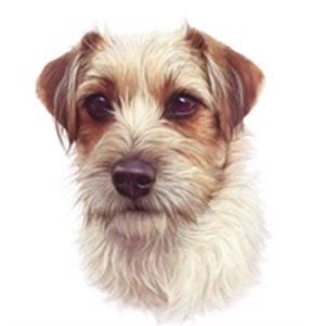 Cover page of the book 'ARCHIES PHOTOFRAME WHITE DOG FACE'