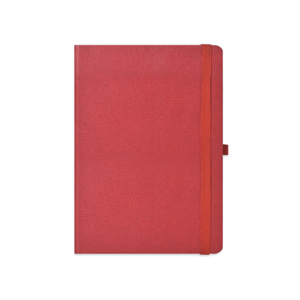 Cover page of the book 'SCHOLAR ESN2-R ESSENTIAL NOTEBOOK A5 ESN2 -R (RED)'