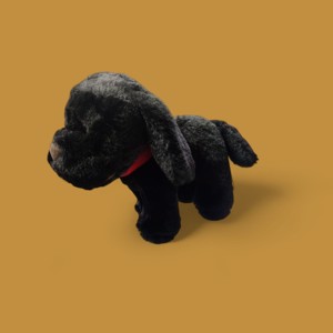 Cover page of the book 'LAZY BABY PAW- THE BLACK DOG CODE LB-885-BLS'